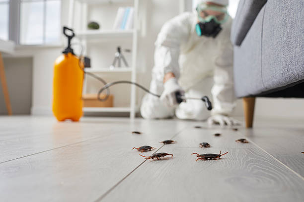 Post-Treatment Bed Bug Interceptor Monitoring in Kirklin