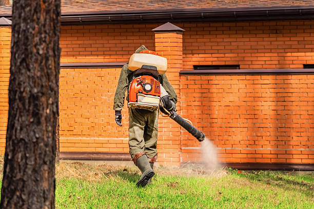 Bed Bug Clearance Verification and Documentation in Kirklin